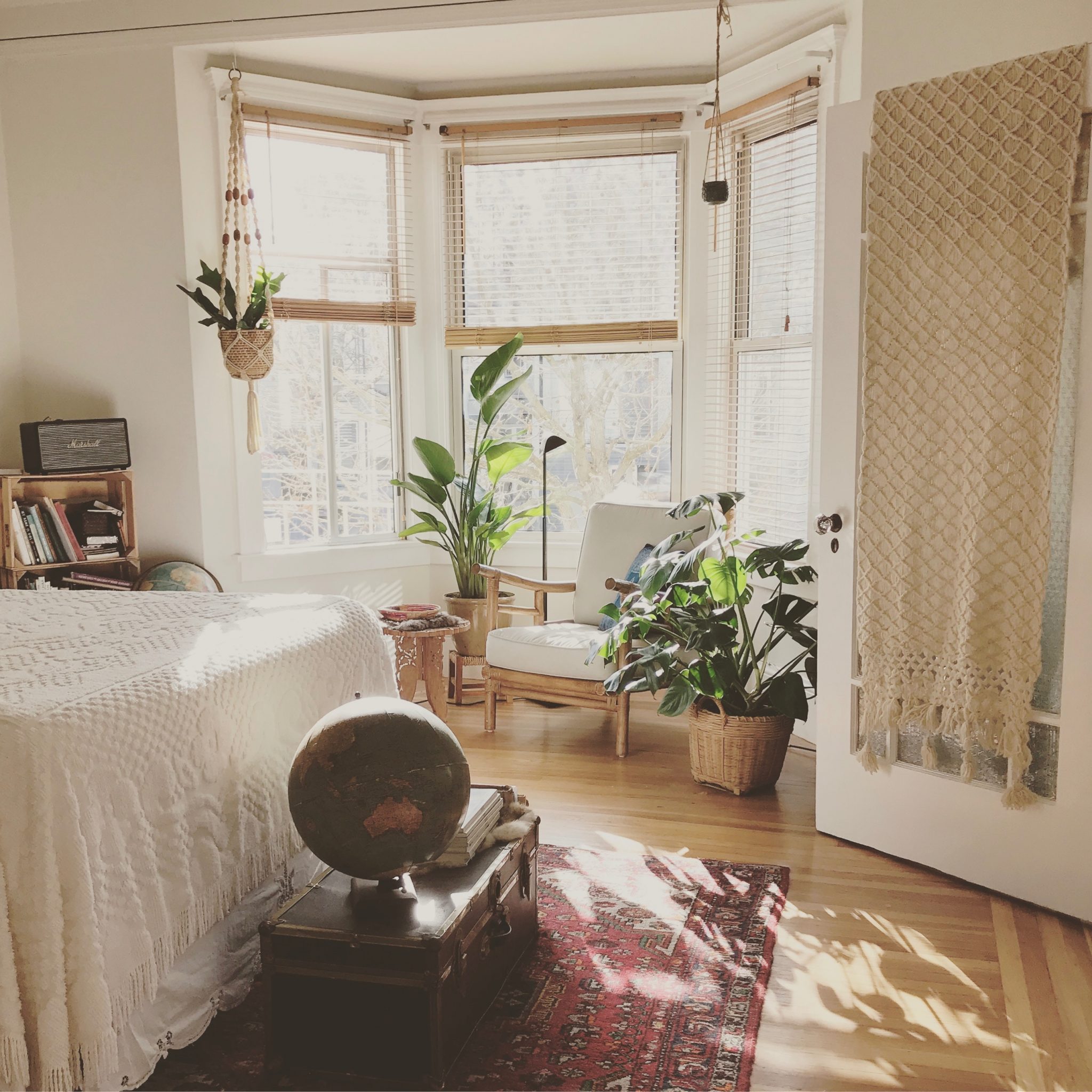 sociaal Aan de overkant Makkelijk te lezen Welke planten kies jij voor in jouw interieur? - Makelaardij Hoekstra Makelaardij Hoekstra sociaal Aan de overkant Makkelijk te lezen Welke planten kies jij voor in jouw interieur? - Makelaardij Hoekstra Makelaardij Hoekstra