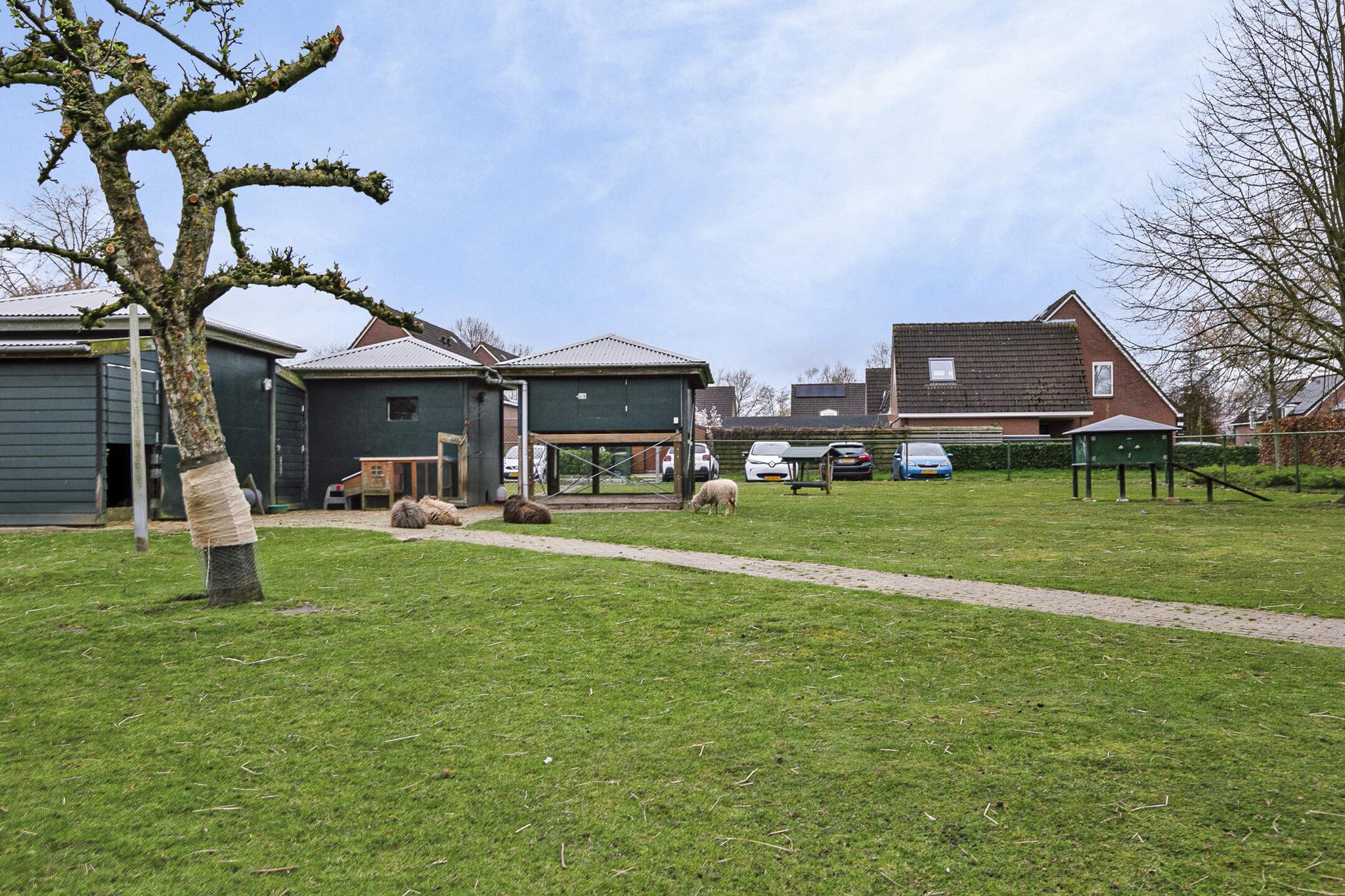 Image 28
